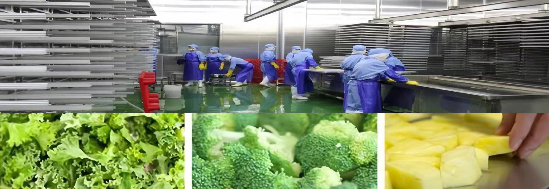 Freeze drying production